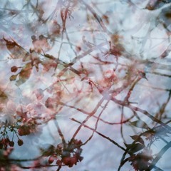 TMC / Barbara Hepworth / Heong Gallery 01.02.2020