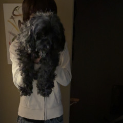 buss *prod.damycoldd*