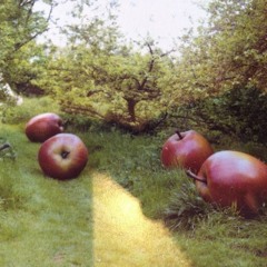 break my bones ft. seishun (lilac)