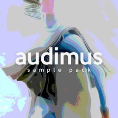 Future House Sample Pack (Presets, MIDI Files, Vocals, FX Effects)
