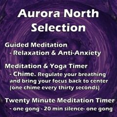 03 Meditation Timer: Gong - Twenty Minutes - Gong