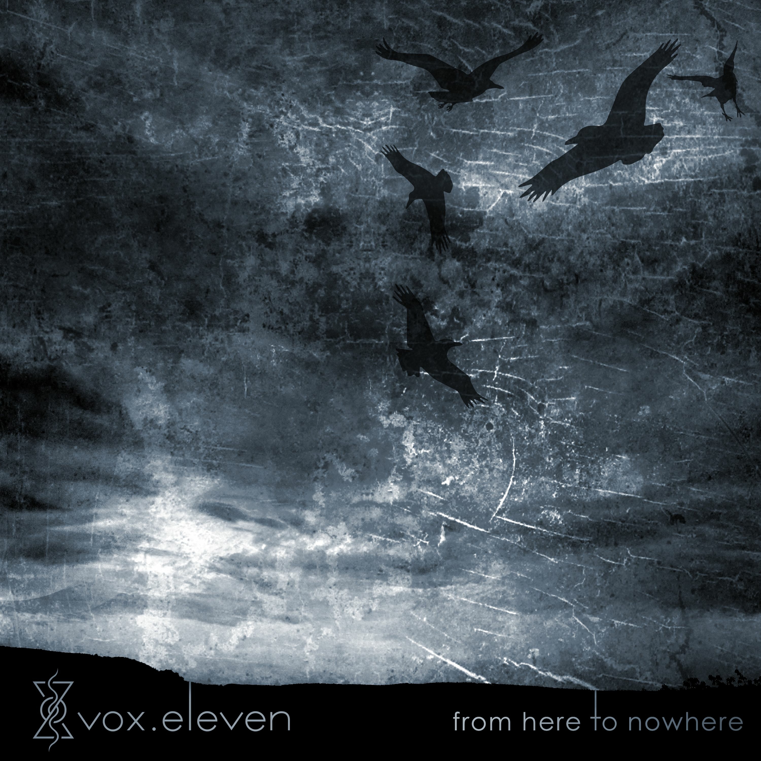 vox.eleven
