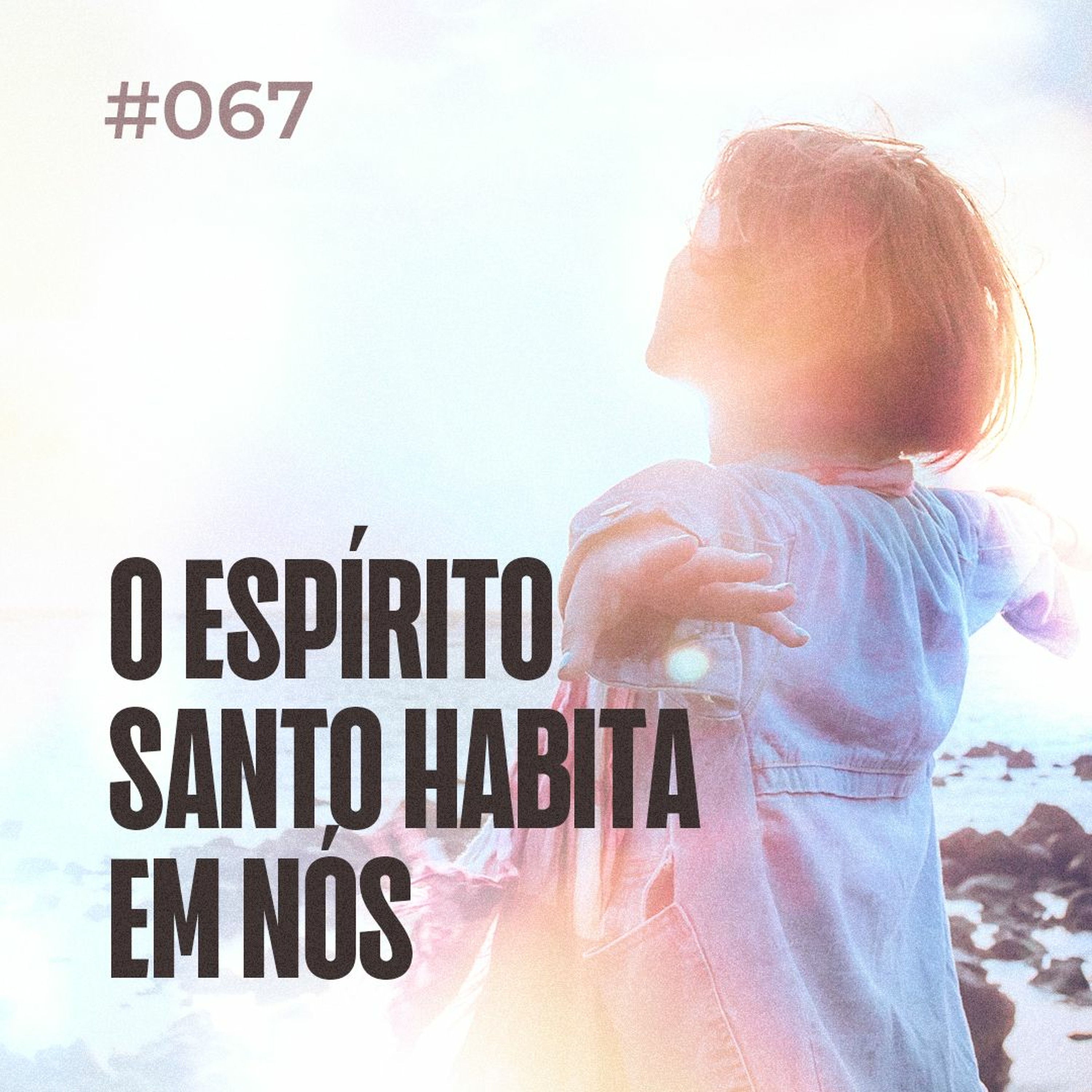 Dirce Carvalho