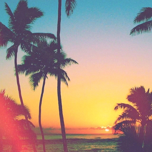 SUMMER BEGIN SESSION