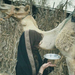 ناداك قلبي ليش ما رديت💛؟