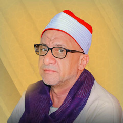 3aly-mahmod-shemeas (19)