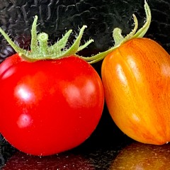 8. Erosion . The Recyclists . Starry Plough 9.21.24