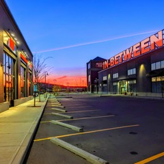 Big Picture - Metric Zed