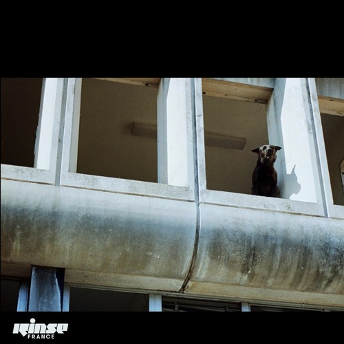 PUBLIC SYSTEM RECORDINGS MYN invite DJ SPEEDSICK & PAÀL - 25 Décembre 2020