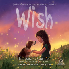Wish by Barbara Connor