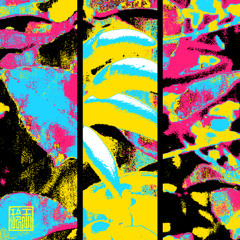 Neon Oracle ~⚘ Free Bandcamp & Project Download ⚘~