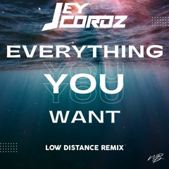 Jey Cordz - Everything You Want (Low Distance Remix)