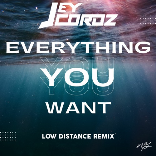 Jey Cordz - Everything You Want (Low Distance Remix)