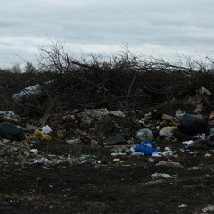 Запах летней помойки