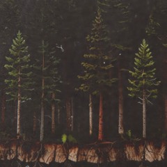 woods