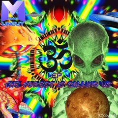 01. Ancient Forest Dragon(Orginal Mix)WAVE