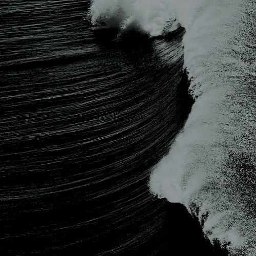 Motion
