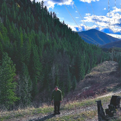 Stem castle (Jerm vocality)