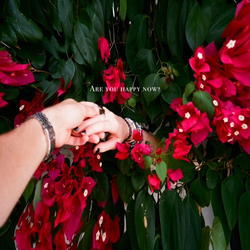 Savannah Saturn - Are You Happy Now