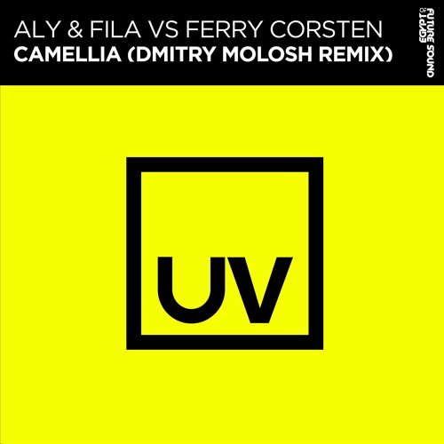 Aly & Fila vs. Ferry Corsten - Camellia (Dmitry Molosh Remix)