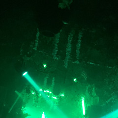 Jungle vibes 100