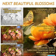 [PDF] Read Next Beautiful Blossoms - Grayscale Colouring Book for Adults (Low Contrast): Edition: Fu
