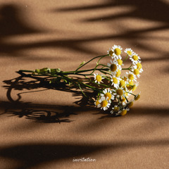 Invitation