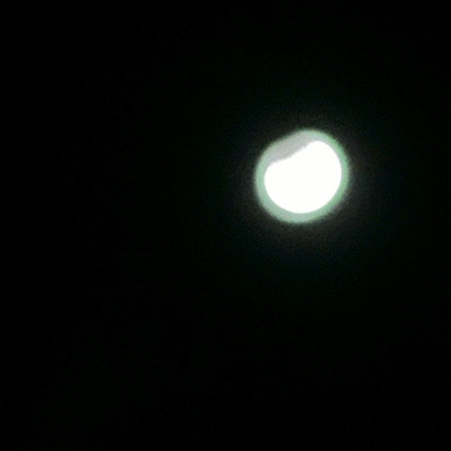 silver_moon