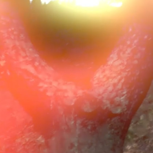 flmscr.1