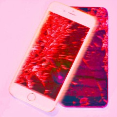 Algorhythms And Screams