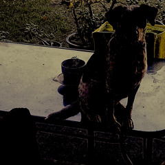 Genevieve.