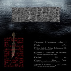 MEDS V/A | After The Flood (excerpts)