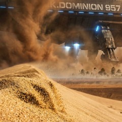 Omen of the Red Palm