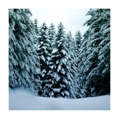 Hibernal Solstice Ambient Mix (2021-12-21)