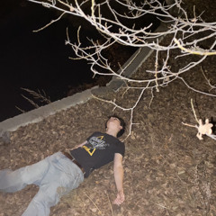 internet хирург