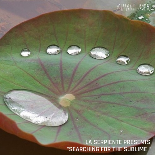 LA SERPIENTE PRESENTS "SEARCHING FOR THE SUBLIME [03.06.2024]