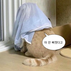 니 모든건 다 거짓말이야(Prod. BaekyOnIt )