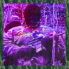 falling (p. 6tracks)