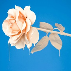 Once In A Lifetime Loop