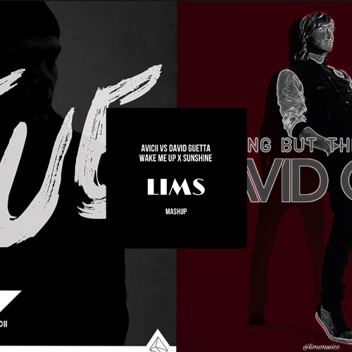 Avicii Wake Me Up Remix David Guetta Stream Avicii VS David Guetta - Wake Me Up X Sunshine (Lims Mashup) by
