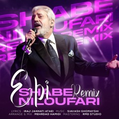 Ebi- Remix Shabe Niloufar by (MehrdadHamidi)