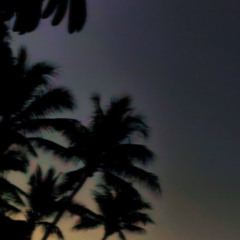 WXY X CLXSSIC X OLXN FLXVA