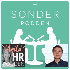 Om tillståndet i våra organisationer med Agila HR-podden (repris)