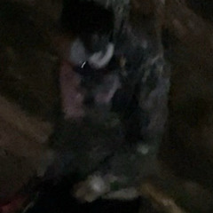 COLDLOVE100IT ILL NEVER FUCKIN END ONEBAR FREESTYLE.m4a