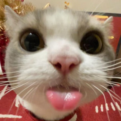 test one!