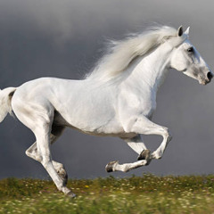 whitehorse (slowed, original version) w/ jaam & koveso (prod. zomb0cat)