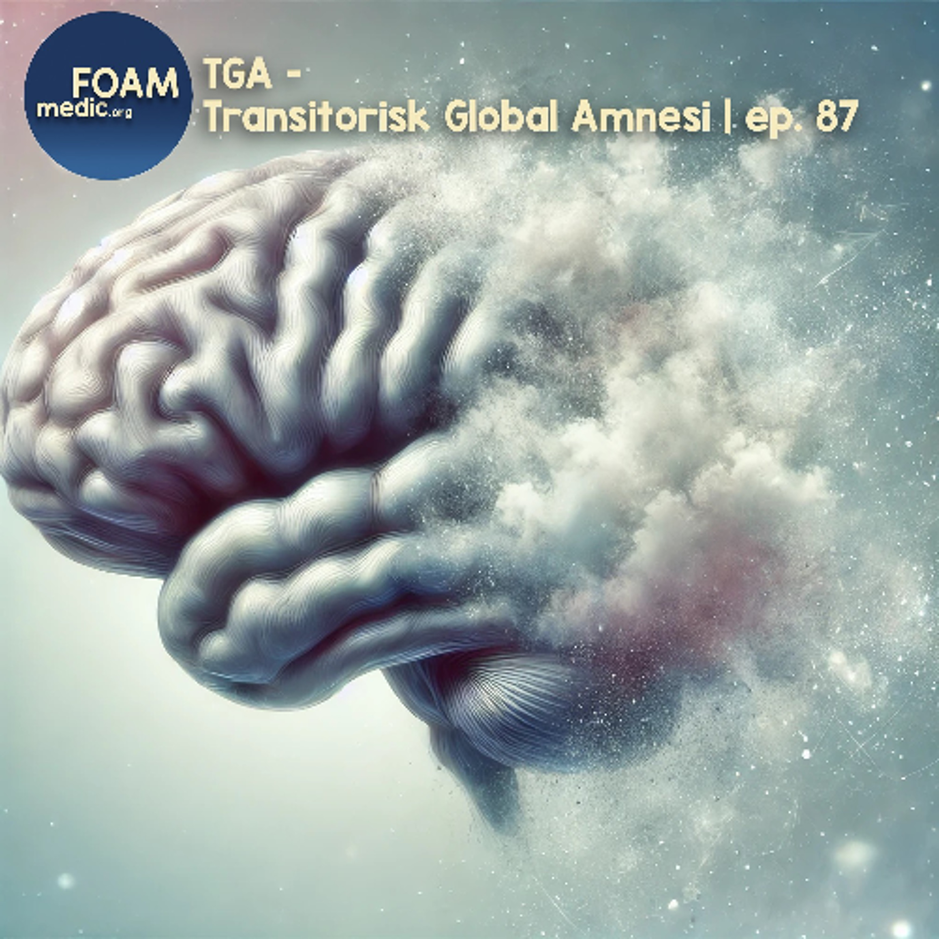 FOAMmedic Podcast