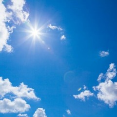 Lawn, Wind, Sun