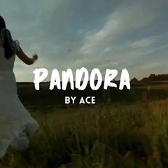 PANDORA_-_Ace___Kaler_Habib___Official_Lyrical_Video___Latest_Romantic_Punjabi_Song_2024(128k).m4a