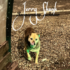 Засаленное сидение (Prod. by CLVSTER)